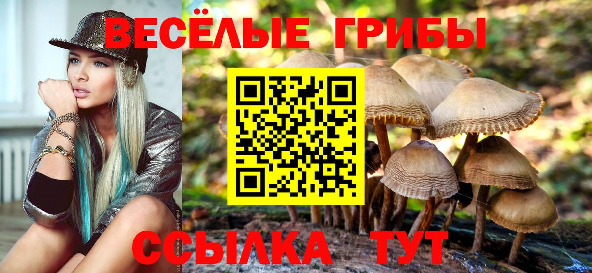 Сокол  Псилоцибиновые грибы ЛСД  Вход с VPN 