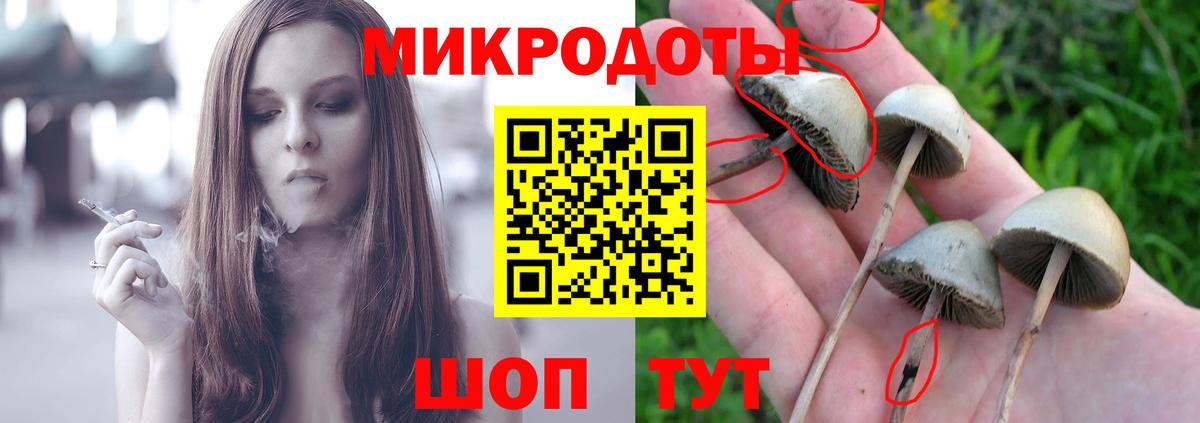 Псилоцибиновые грибы мухоморы Сокол